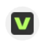 VEED.IO (비드 아이오)